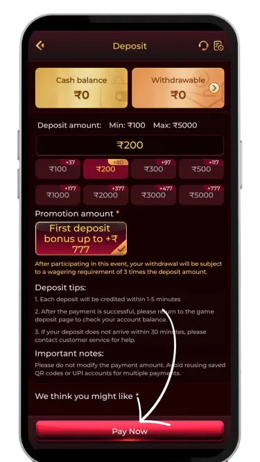 Click on the pay now button